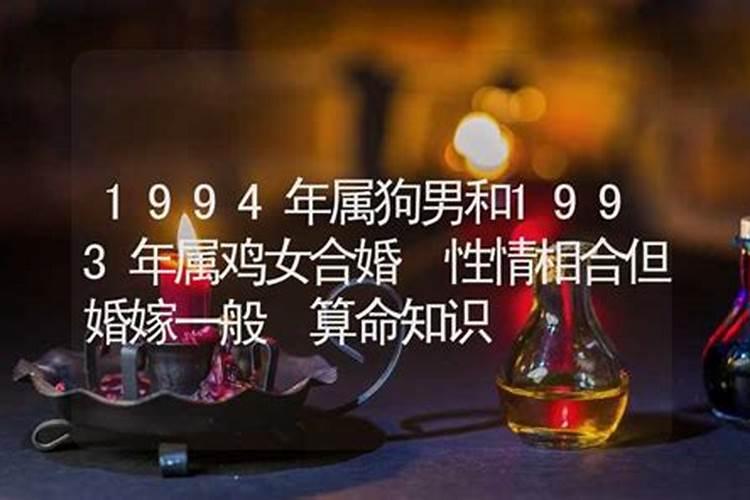 1993年鸡和1994年狗的属相合不合