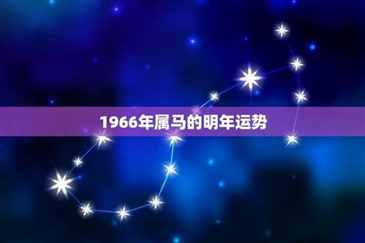 2024年龙年运势如何