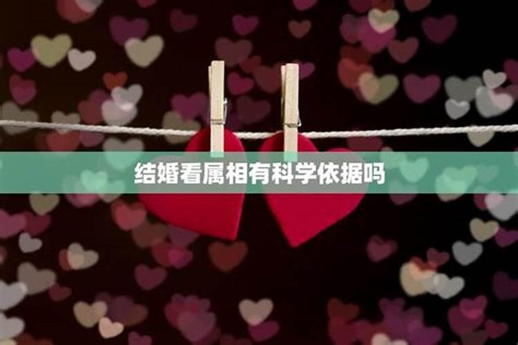 结婚看属相符合科学吗，属相不和能结婚吗