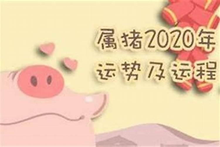 属猪的2021年5月