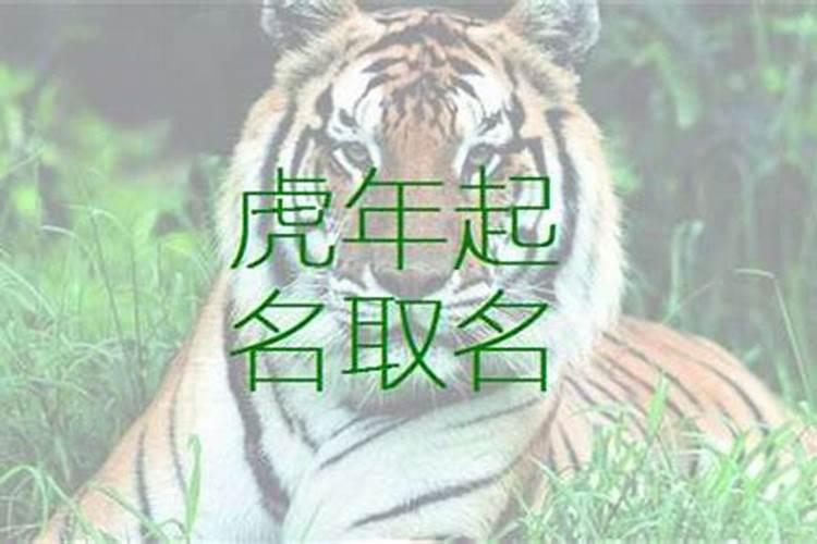 梦见孕妇流产见血是什么意思