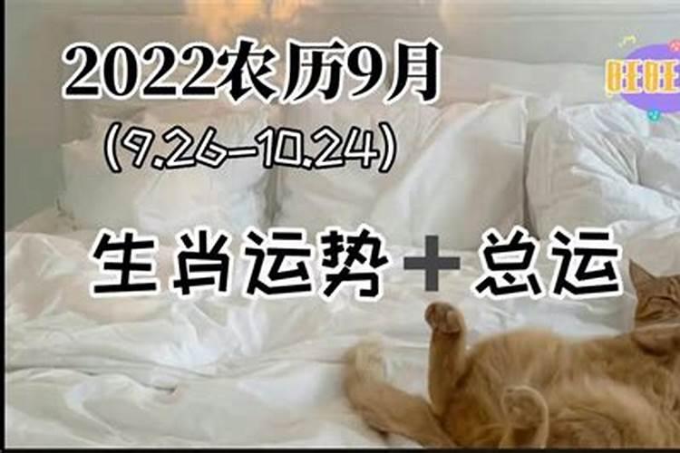 2022紫微运势