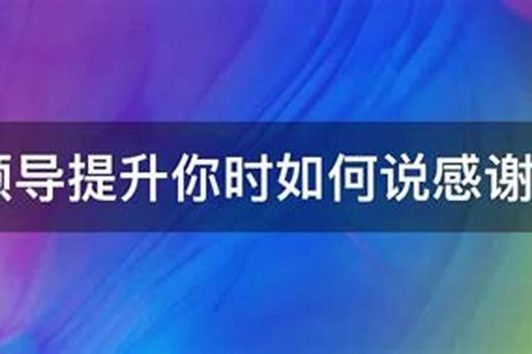 当领导说谢谢你的时候你应该怎样回