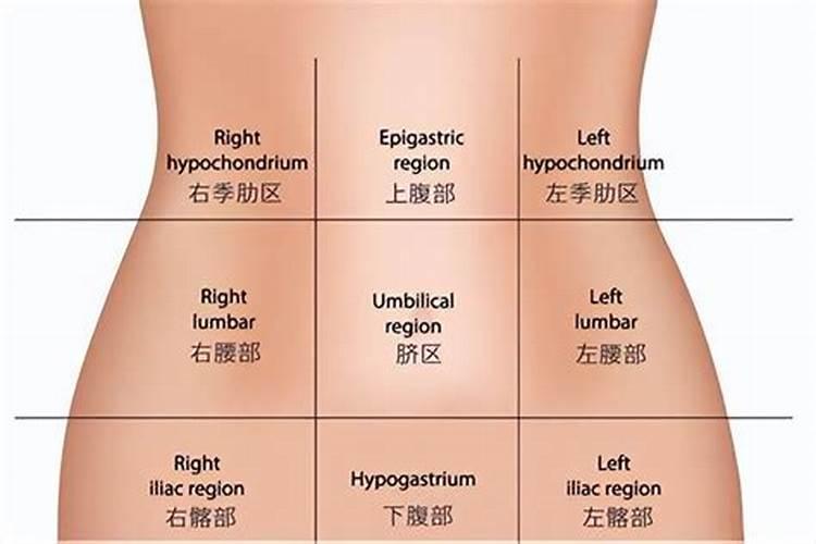 胃不好风水怎么化解