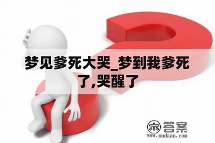 梦见爸爸死了我放声大哭