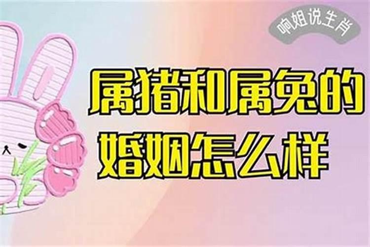 同个生肖结为夫妻好吗