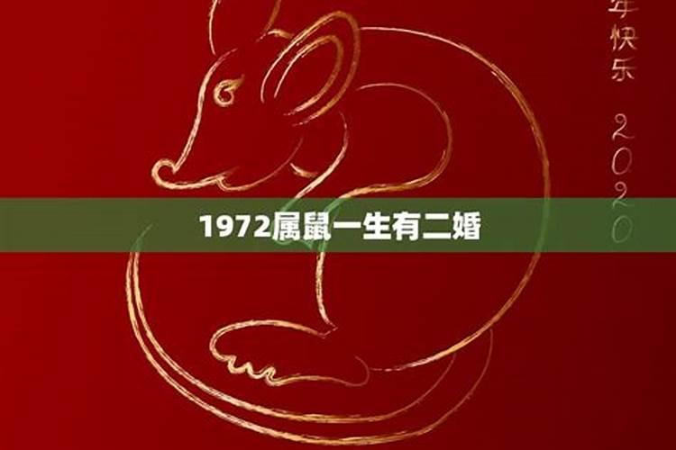 1972年属鼠有几次婚姻