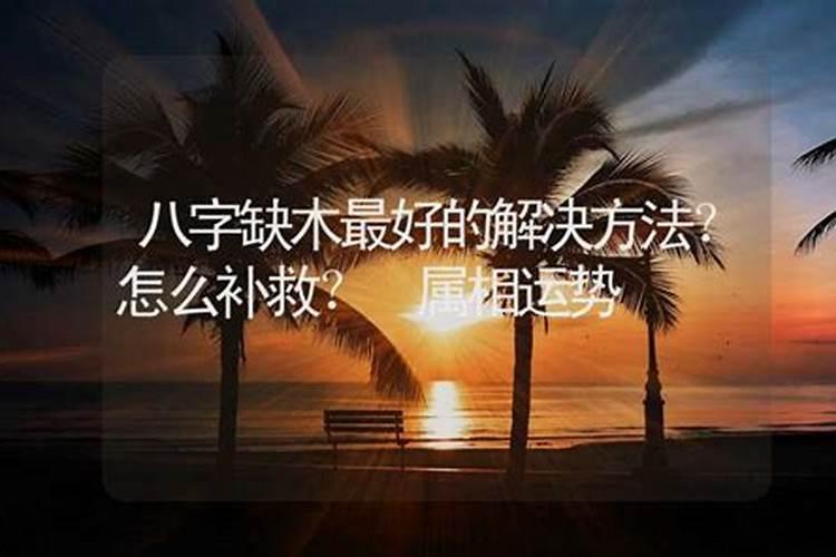 八字缺木怎么填补