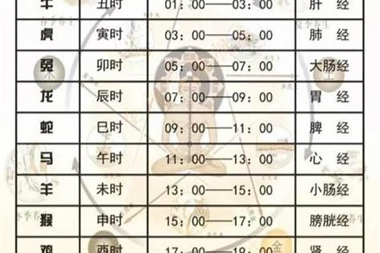 各时辰代表几点