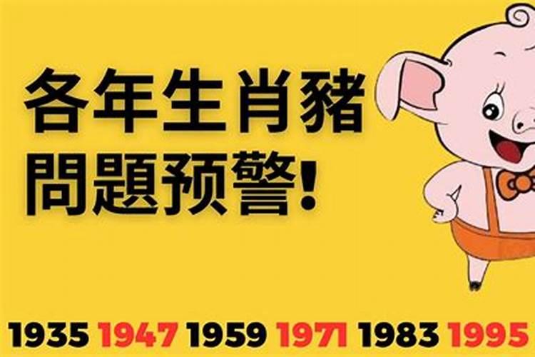 69年的兔2024年运势如何