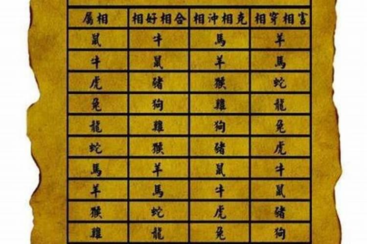 八字中比字的意思