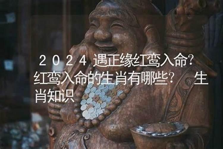 2023年遇正缘红鸾入命的生肖是