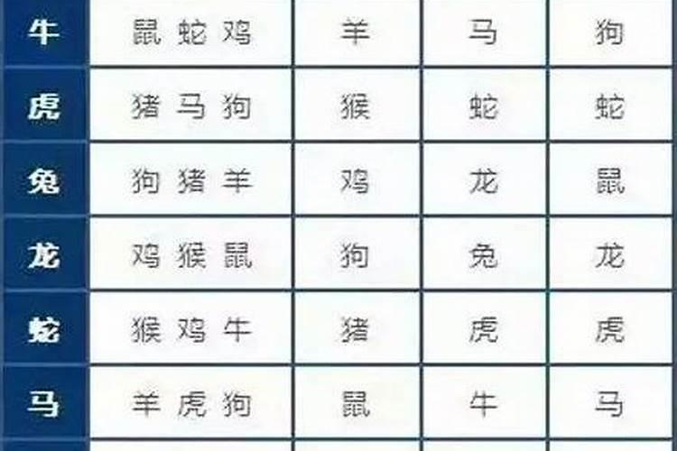 12生肖男最佳配偶