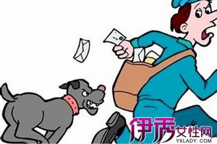 梦见狗从后面扑过来