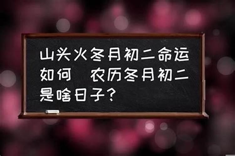 戊午日柱看2023运势