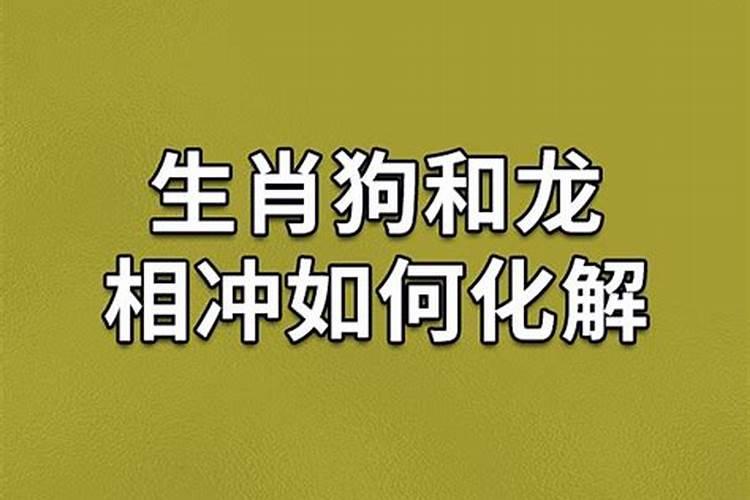 狗冲龙日子怎样化解