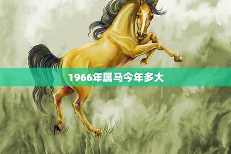 1966年属马一生大劫年