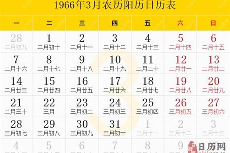 兔人2024年婚姻运势如何