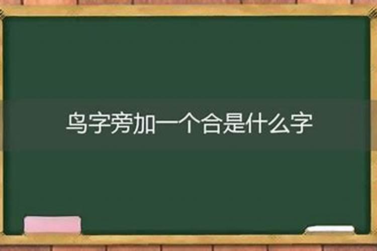 一个合加个鸟是什么字