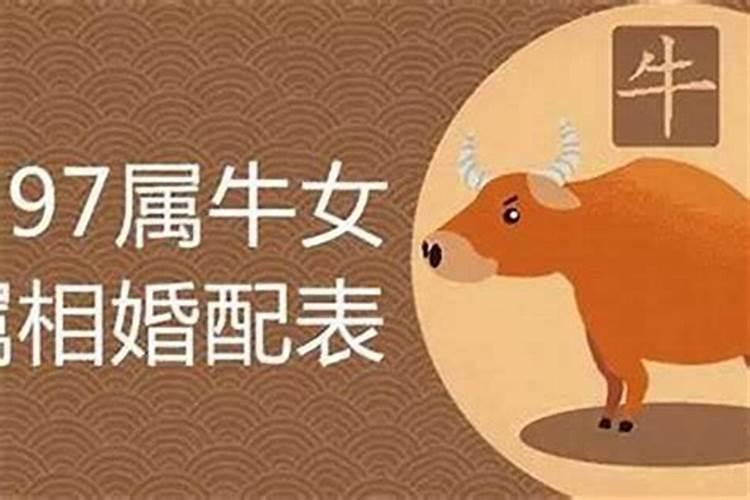 属牛的与什么属相合