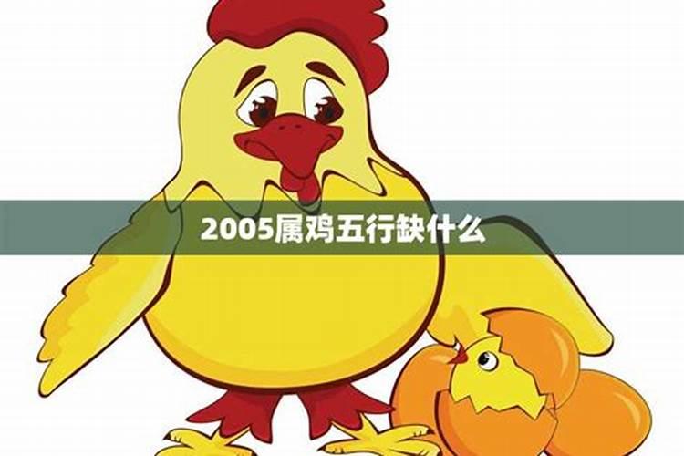 2005年属鸡五行缺什么