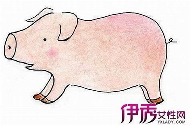 腊月初六属猪运势