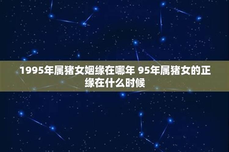 1995年属猪的最佳结婚年龄男，桃花运