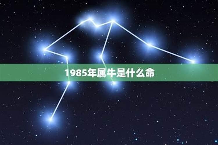 85年属什么命，五行缺什么