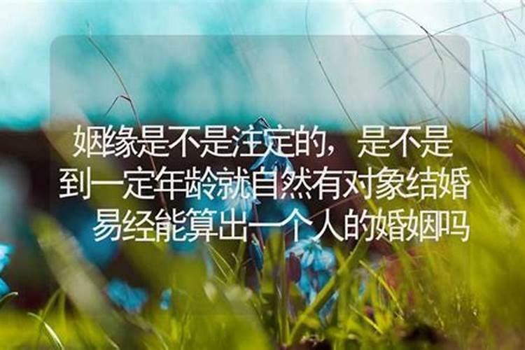 梦到父母受伤什么征兆呢