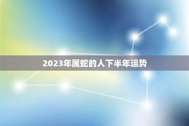 属蛇人2023年下半年感情运势