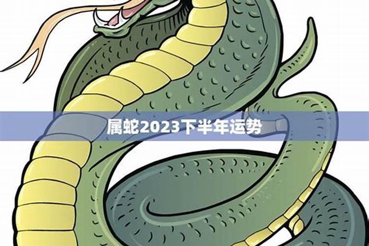 属蛇人2023年下半年感情运势