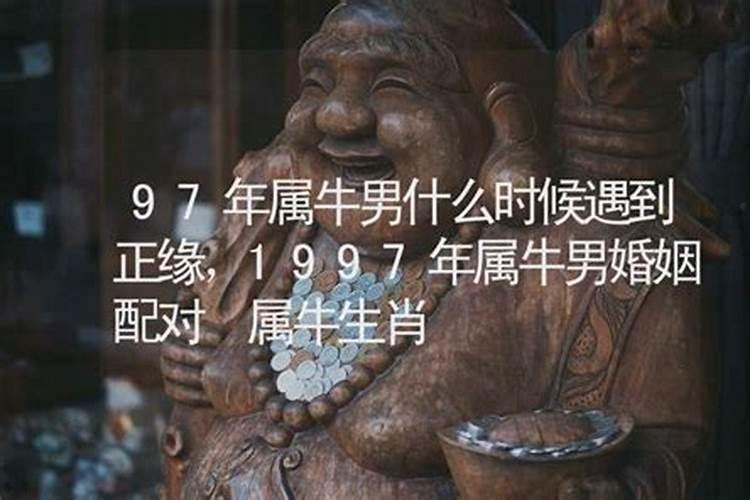 1997年的牛婚姻什么时候动