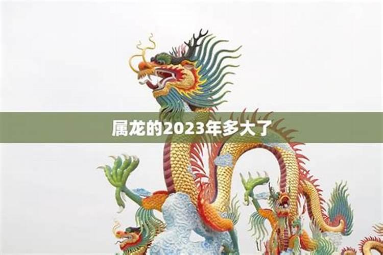 属龙的到2023年多大