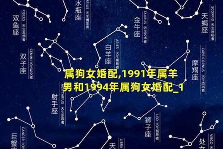 1991属羊男可以跟1994属狗女搭配吗