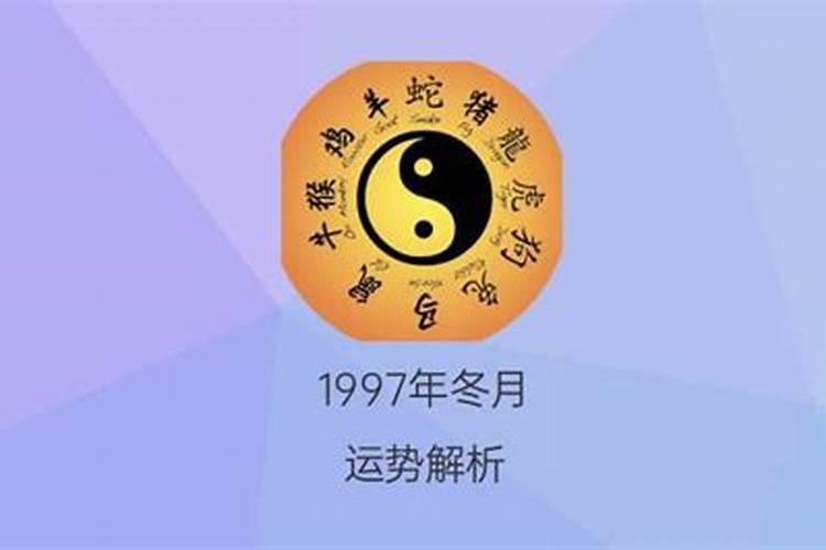 1997年出生的人命运