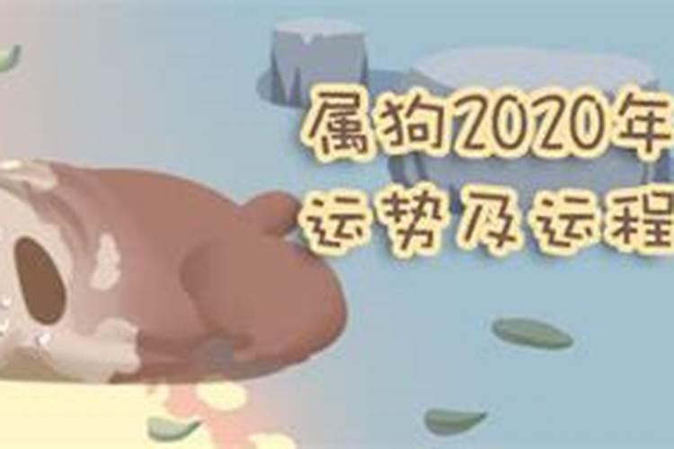 属狗八月运势2021