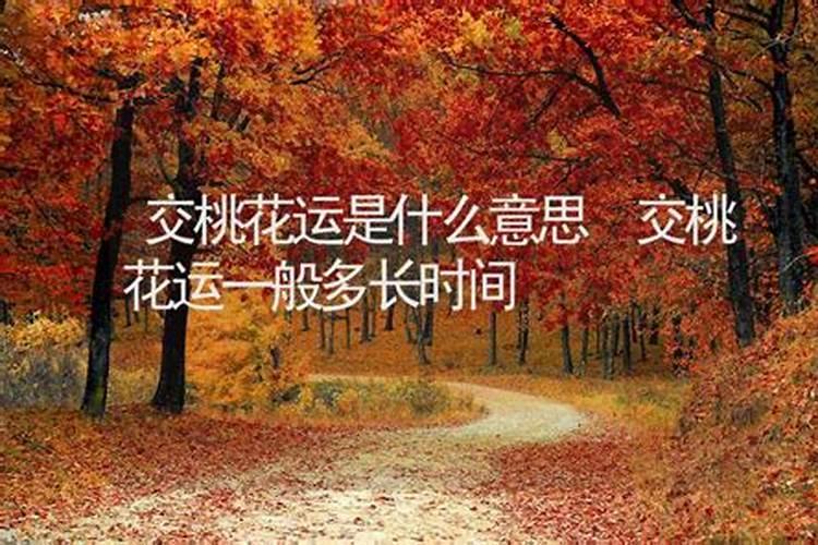 桃花运是什么