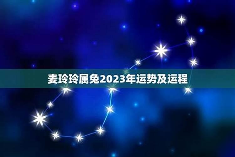 属兔的人2023年运势及运程麦玲玲