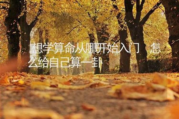 自学命理能学会吗