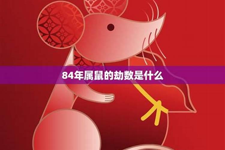 84年属鼠的命运2020年怎么样