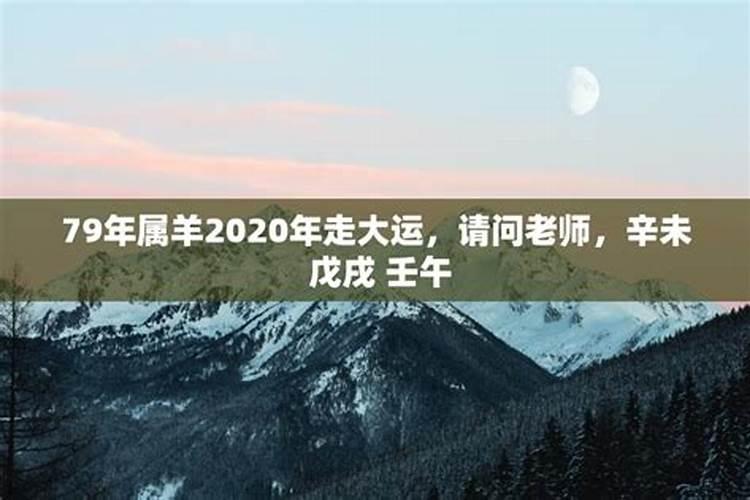 79年属羊2021年走大运