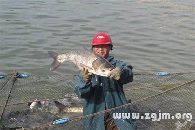 梦见大洪水退去