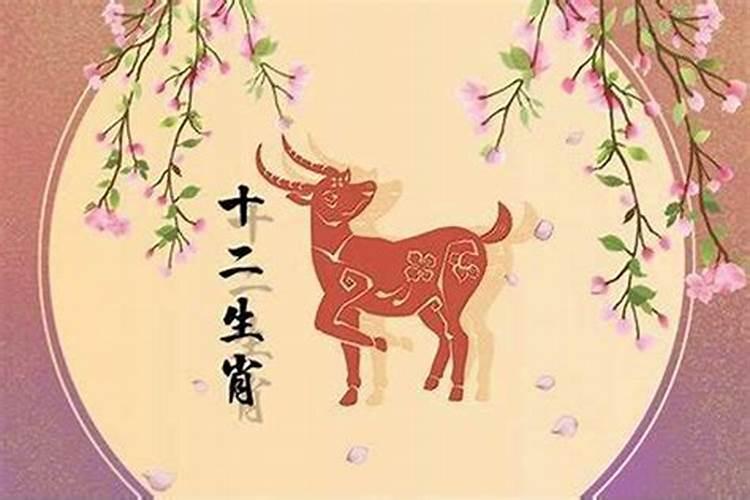 生肖羊今年婚姻和感情怎样