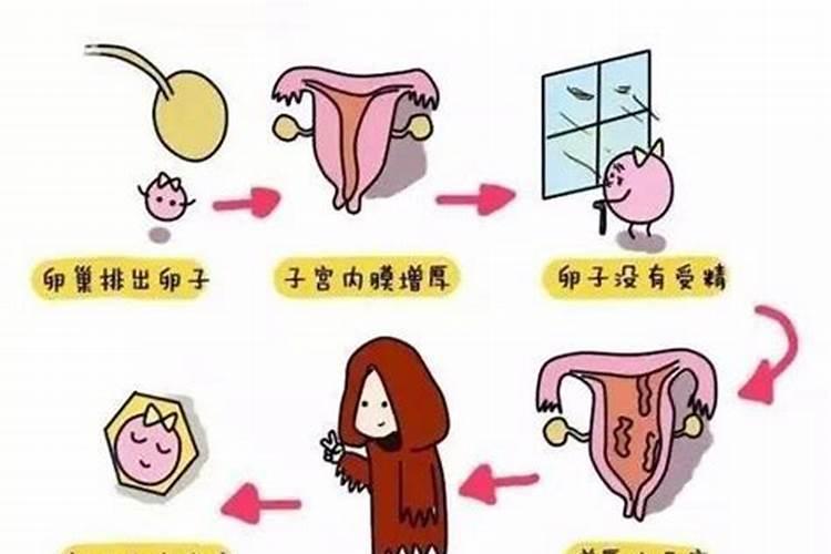 梦见女孩子来大姨妈了