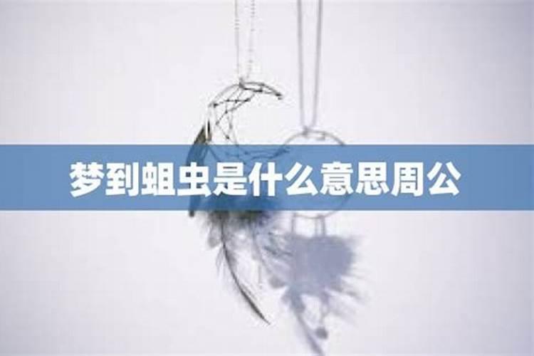 梦见房顶掉蛆是什么意思