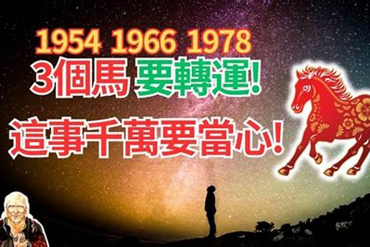 1978年生肖属相