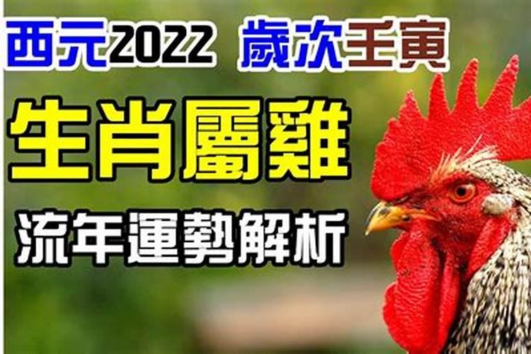 今年属鸡的财运和运气如何2022年