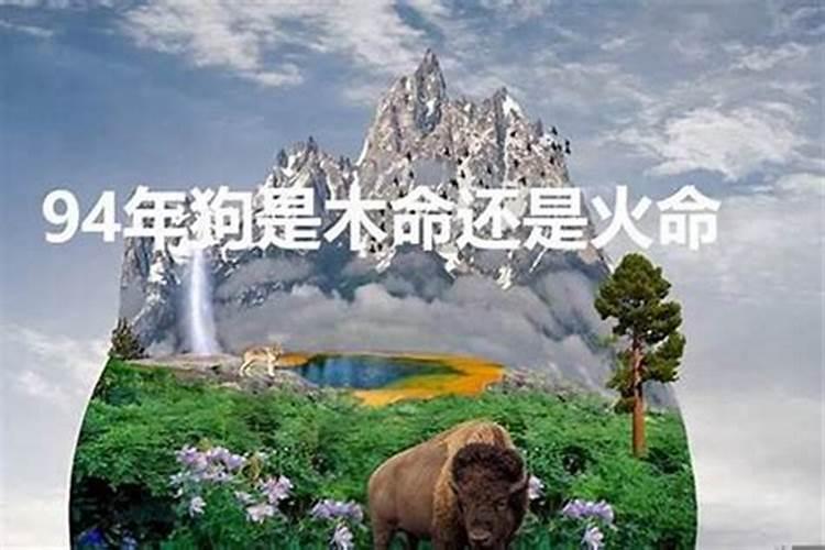 木狗山头火命五行缺什么