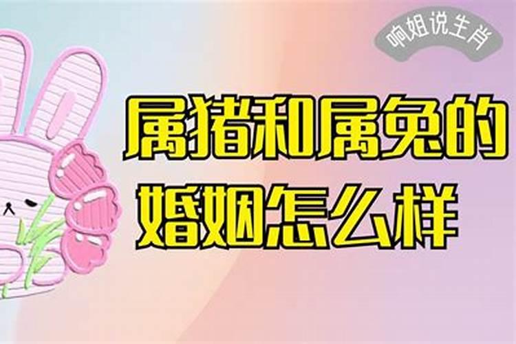 金鸡和土兔婚姻怎么样