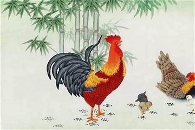 鸡人在鼠年的运势怎么样